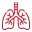 Supports Bronchial & Lung Health Icon