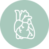 Strengthens Bones & Heart Health 