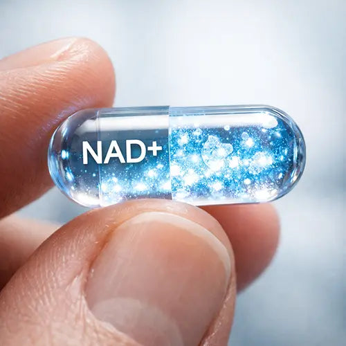 Why Is NAD+ Essential for Anti-Aging & Longevity?